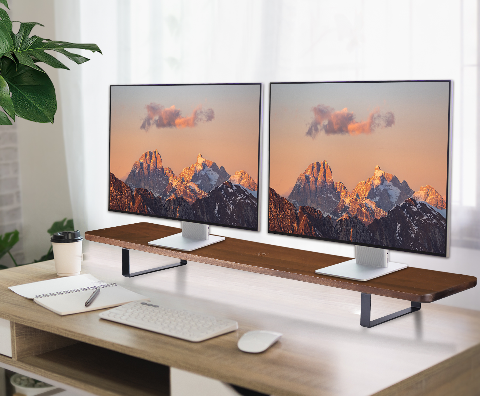 lifespan-accessories-ultimate-desk-duo-support-double-cran image 3