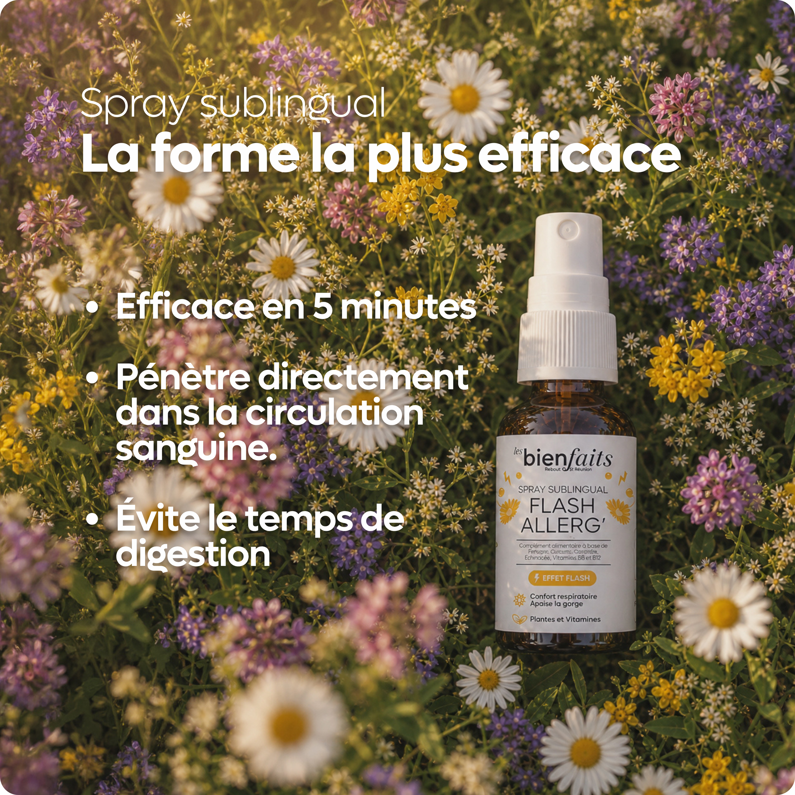 les-bienfaits-flash-allerg-spray-respiratoire-plantain-cassis image 3
