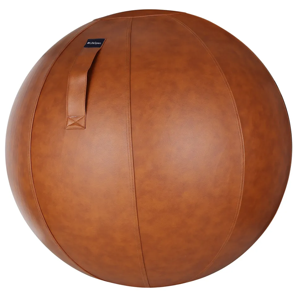 lifespan-yoga-ball-chaise-ballon-gris-25-pouces-gainage image 1