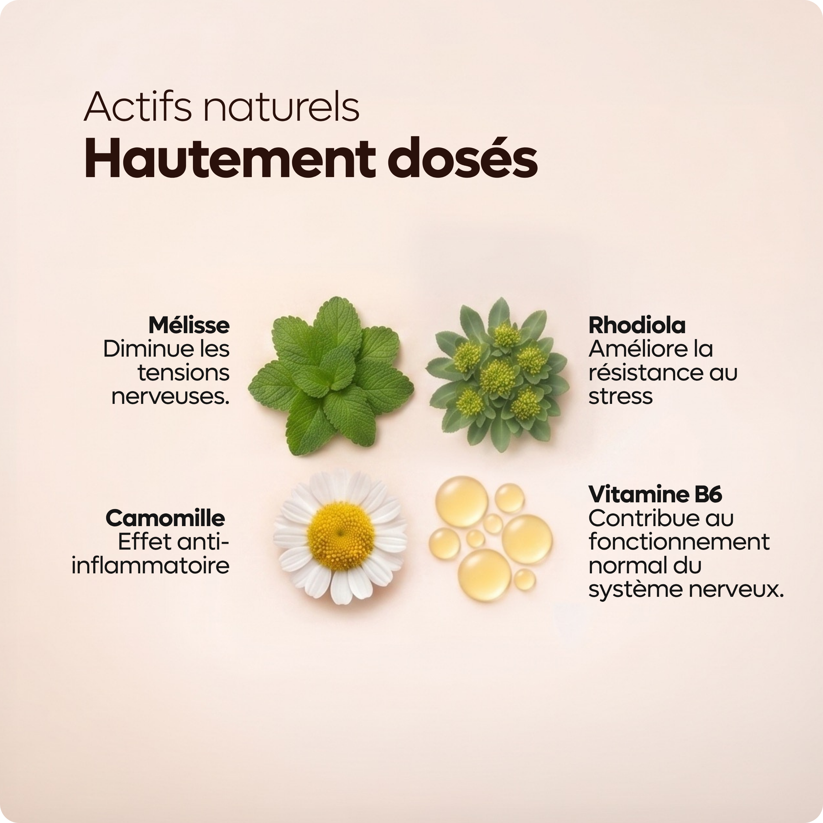 les-bienfaits-spray-mig-flash-maux-de-t-te-sublingual-camomille image 4