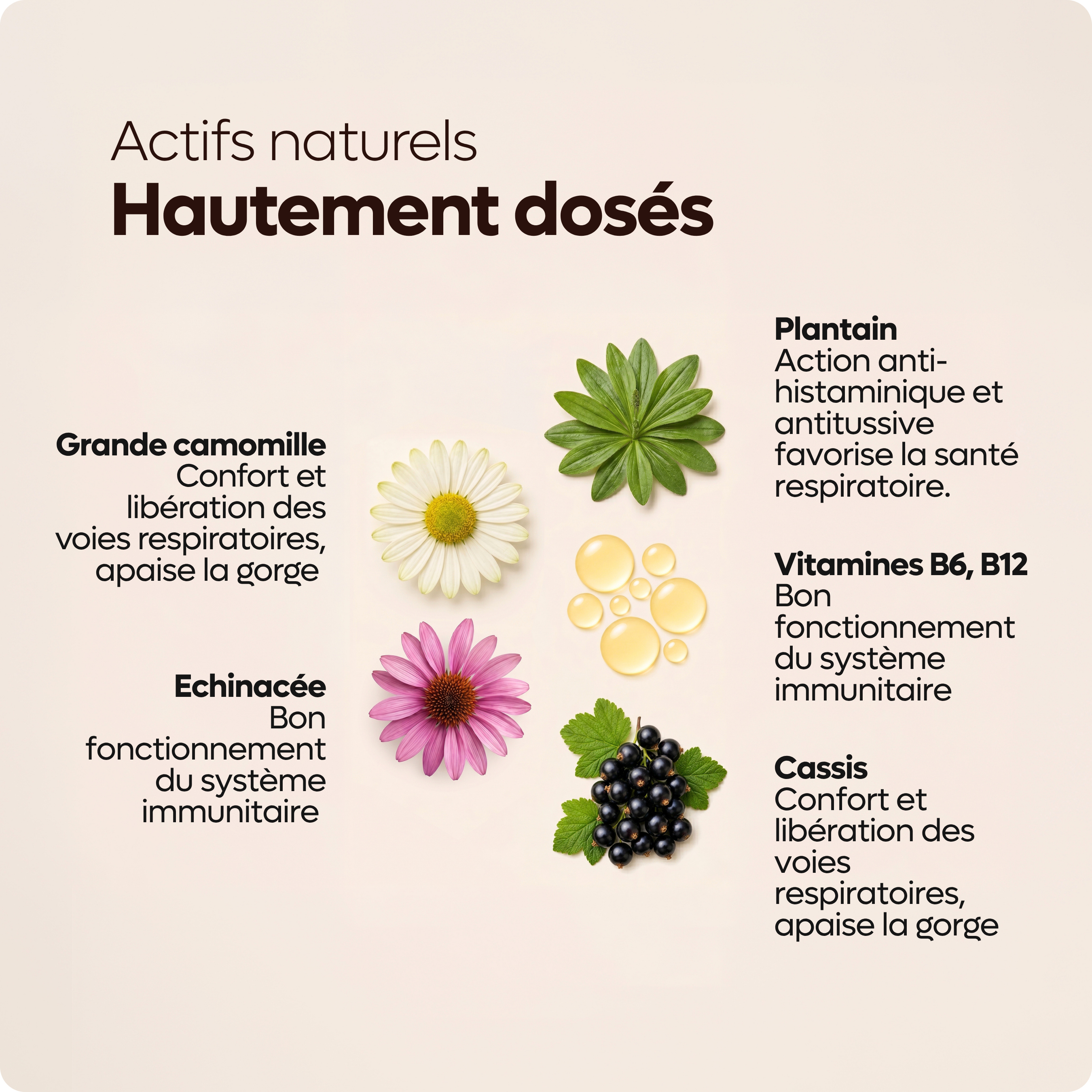 les-bienfaits-flash-allerg-spray-respiratoire-plantain-cassis image 4