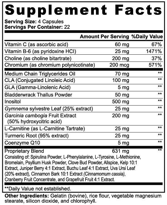 echelon-active-metabolism-compl-ment-90-g-lules-l-carnitine image 2
