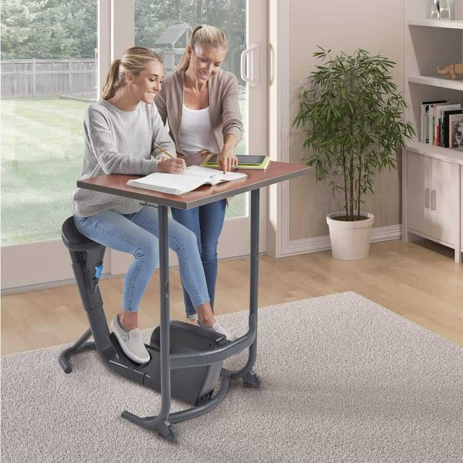 lifespan-unity-bike-desk-v-lo-bureau-adulte-p-dales image 6